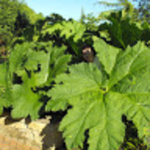 Meet your Posher, Timmy